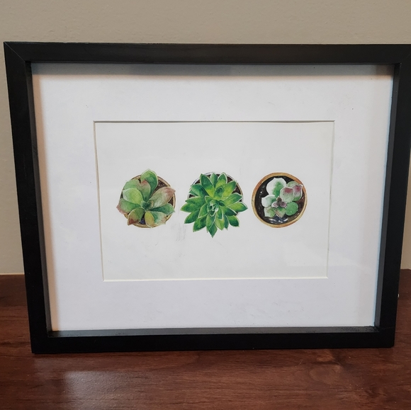 Succulents plants framed art print black frame with three succulent plants NWT - Picture 1 of 8